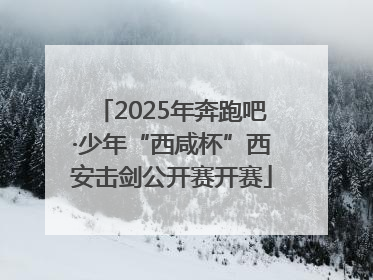 2025年奔跑吧·少年“西咸杯”西安击剑公开赛开赛